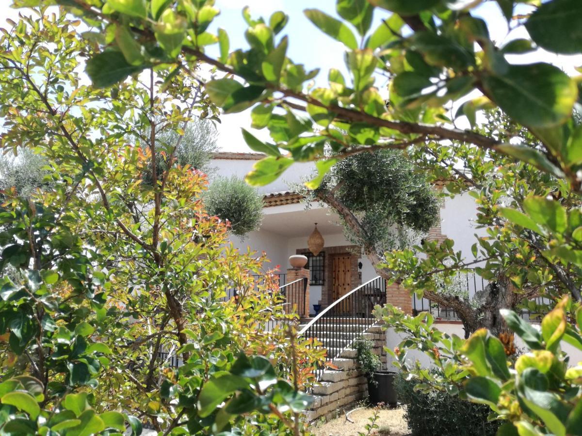Casa Rural La Amistad Burguillos de Toledo Exterior photo