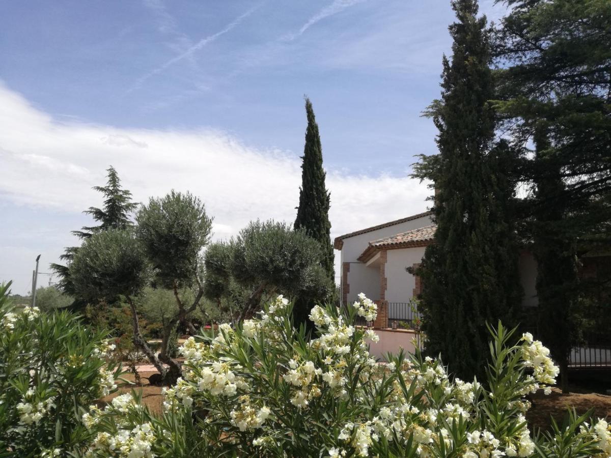 Casa Rural La Amistad Burguillos de Toledo Exterior photo