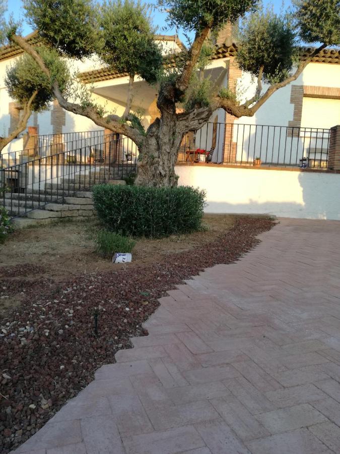 Casa Rural La Amistad Burguillos de Toledo Exterior photo