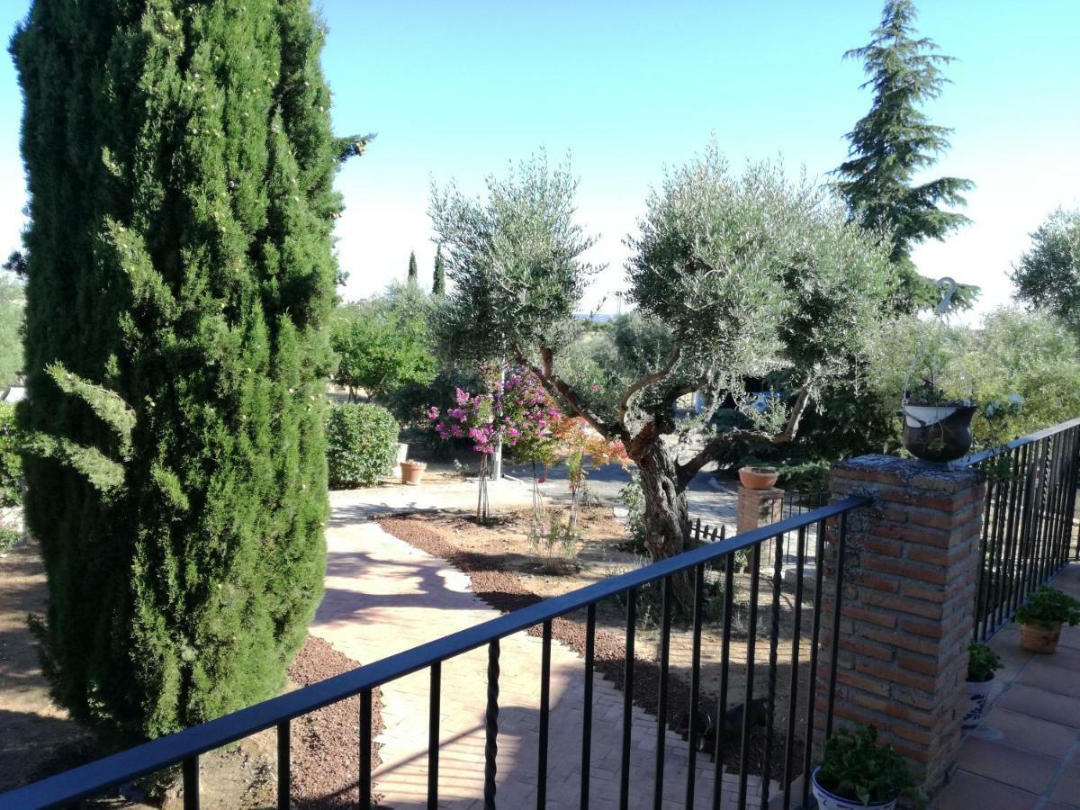 Casa Rural La Amistad Burguillos de Toledo Exterior photo