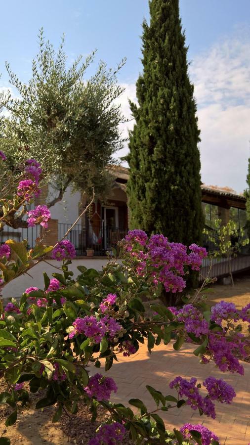 Casa Rural La Amistad Burguillos de Toledo Exterior photo